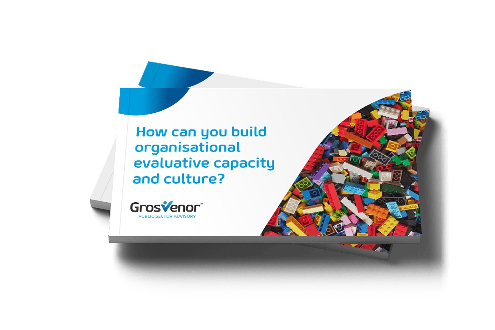 Evaluation Capacity and Culture