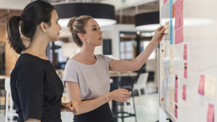 Planning in the new program management environment