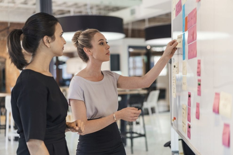 Planning in the new program management environment